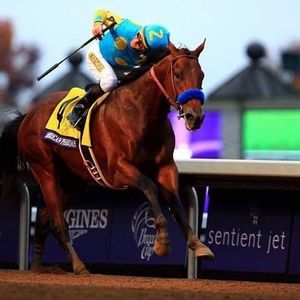 Meet your Posher, William